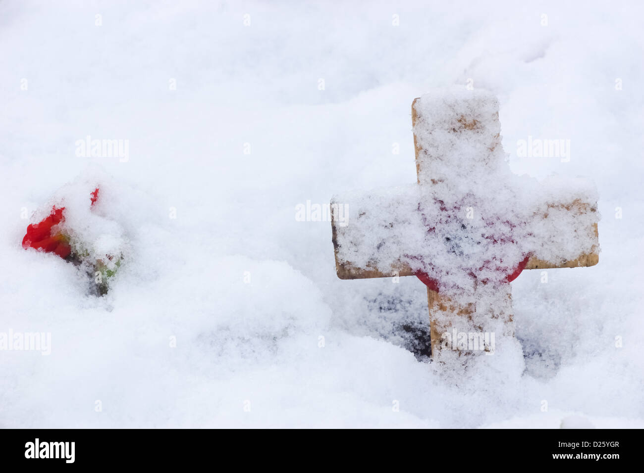Ricordo croce con semi di papavero nella neve Foto Stock