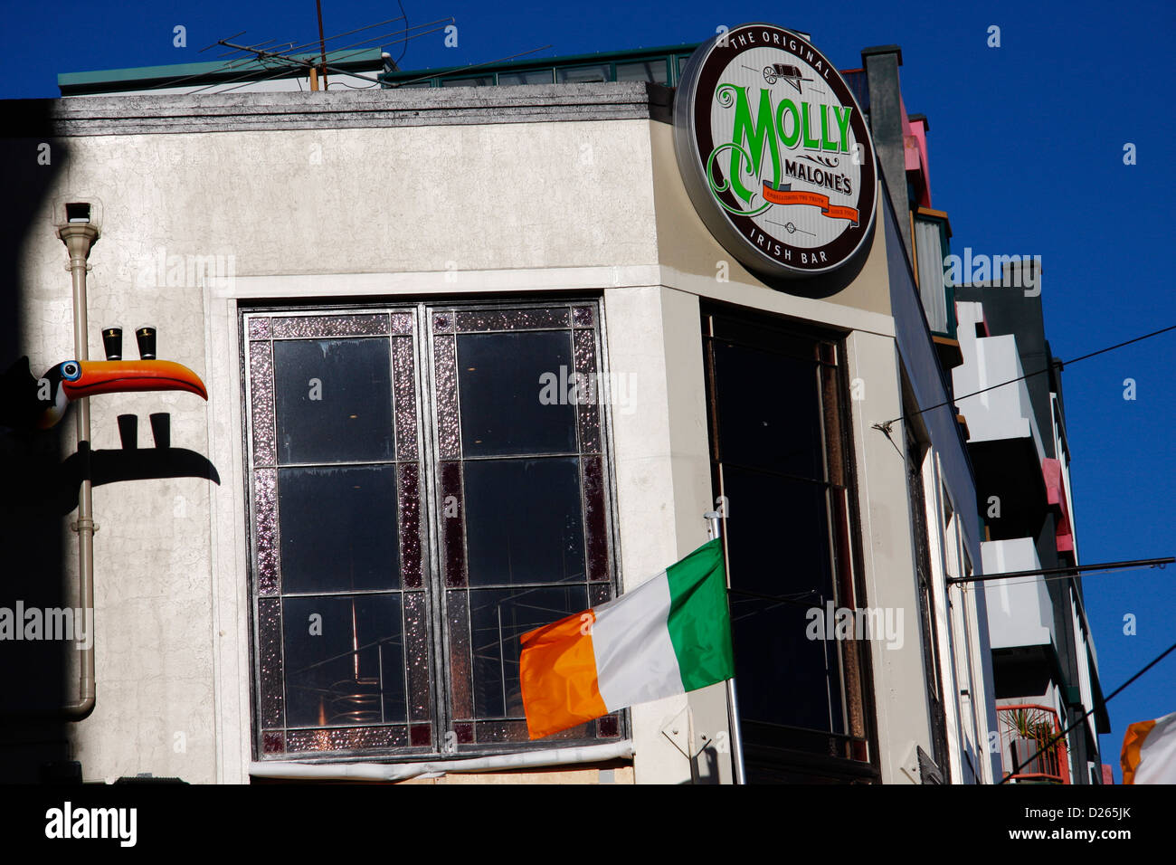 Molly Malone, un Irish pub in stile su Courtenay Place, Wellington. Foto Stock