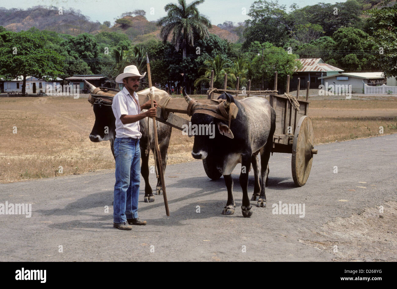 Ox cart in Costa Rica Foto Stock