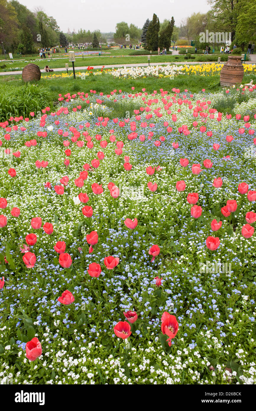 Molla in Herastrau Park nel centro di Bucarest, Romania Foto Stock