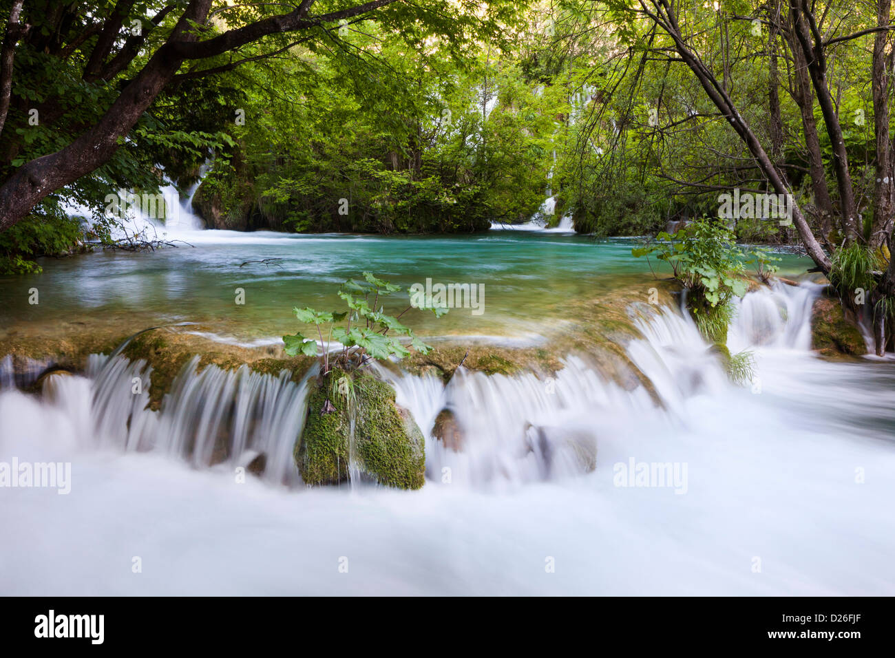 I Laghi di Plitvice nel Parco Nazionale Plitvicka Jezera. I laghi inferiori, le cascate del V. cascata. L'Europa, Croazia Foto Stock