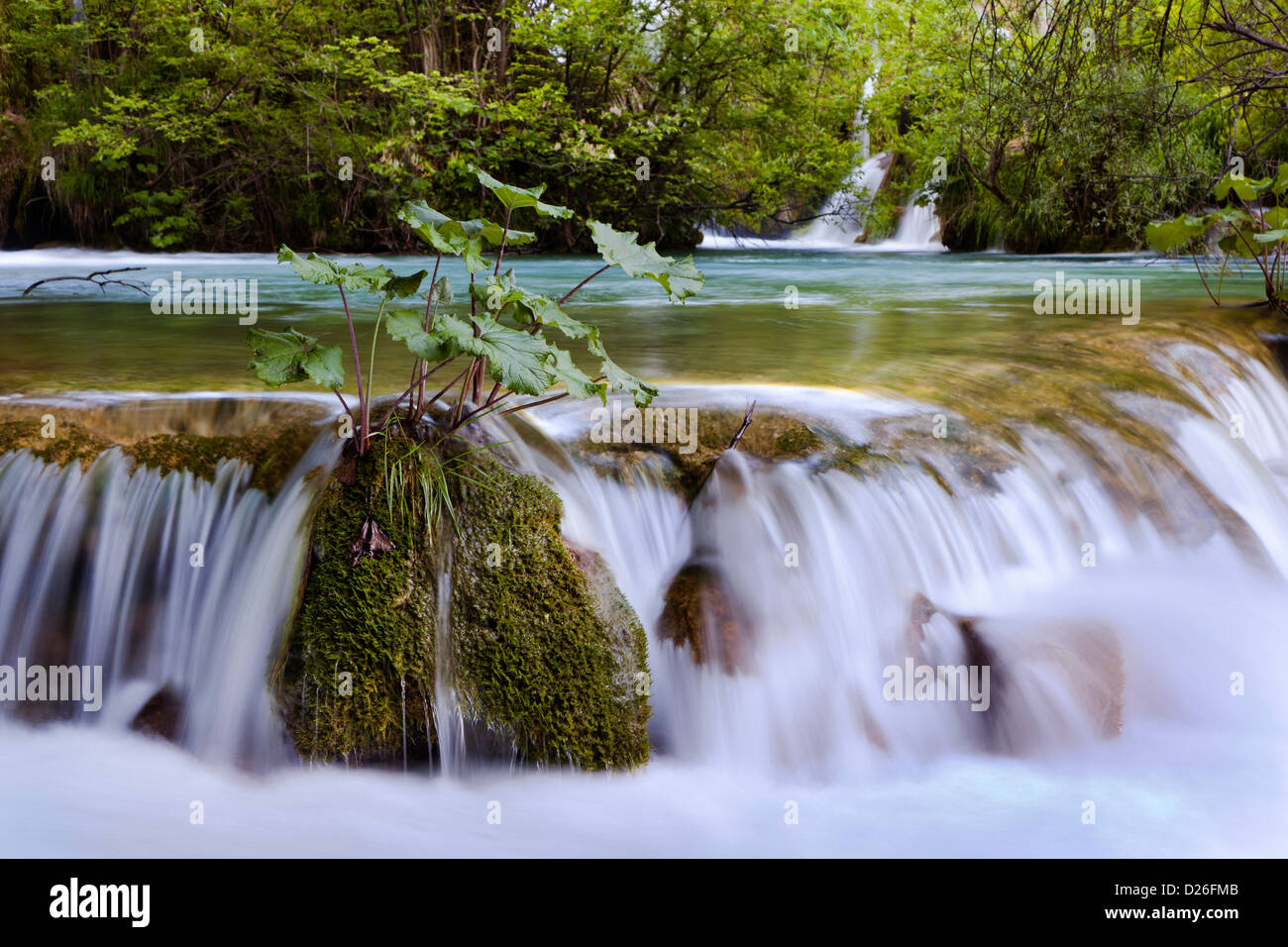I Laghi di Plitvice nel Parco Nazionale Plitvicka Jezera. I laghi inferiori, le cascate del V. cascata. L'Europa, Croazia Foto Stock