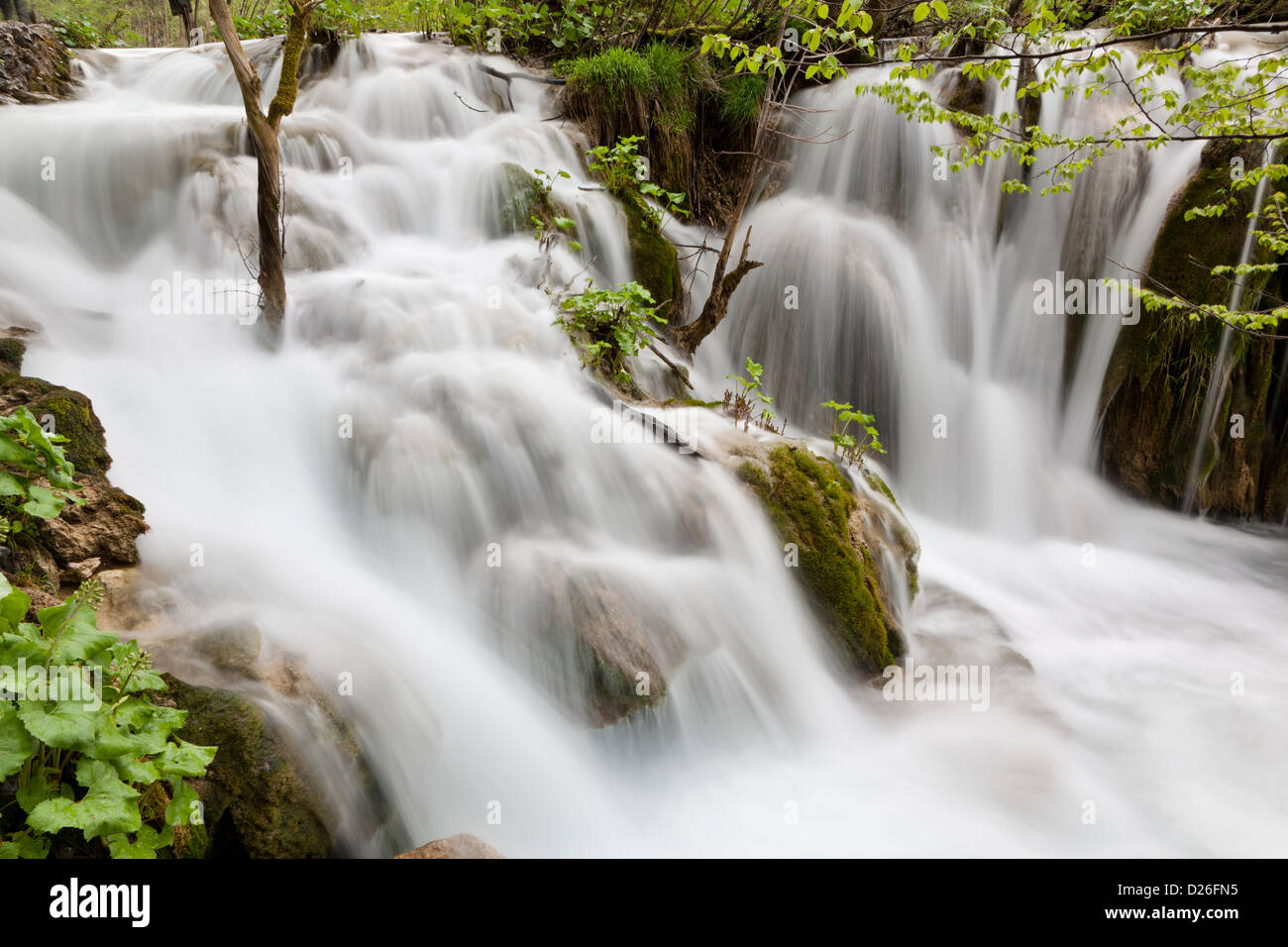I Laghi di Plitvice nel Parco Nazionale Plitvicka Jezera. I laghi inferiori, la cascata Slapovi Trnine m. Europa e Sud Croazia Foto Stock