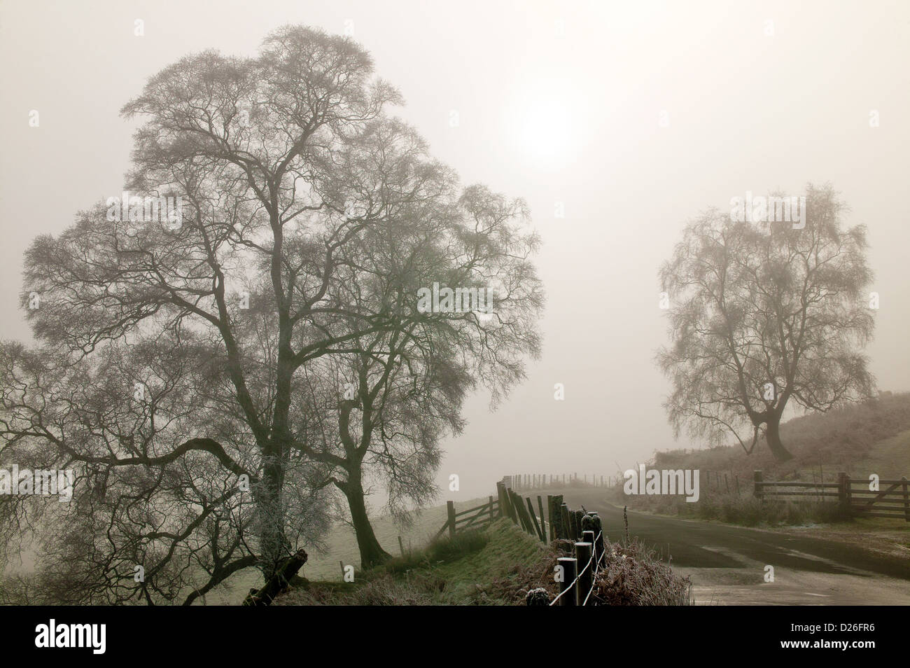 Una mattinata nebbiosa nelle colline Welsh POWYS GALLES Foto Stock