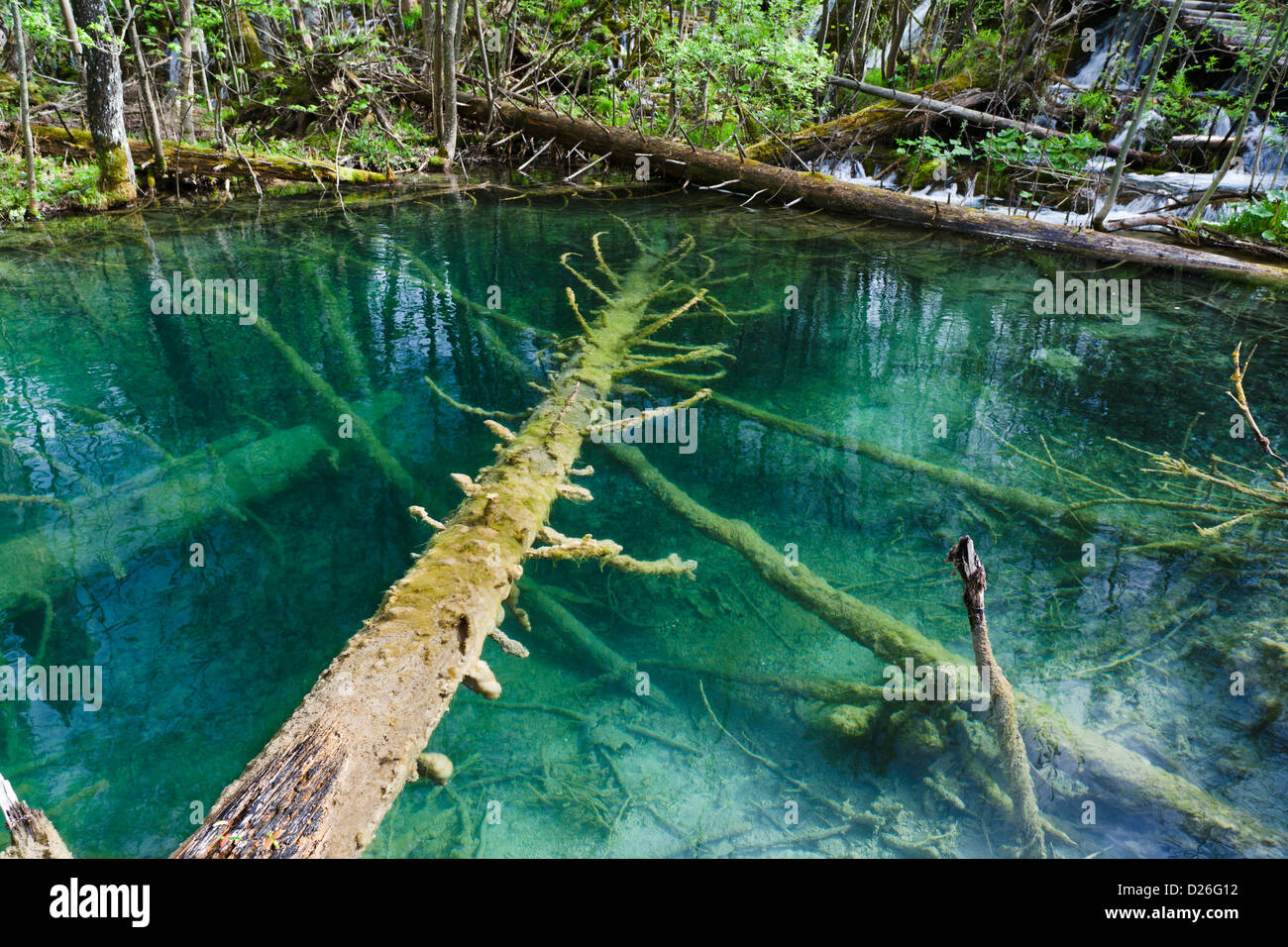 I Laghi di Plitvice nel Parco Nazionale Plitvicka Jezera in Croazia. I laghi superiori, piccoli stagni. Europa e Sud Croazia Foto Stock