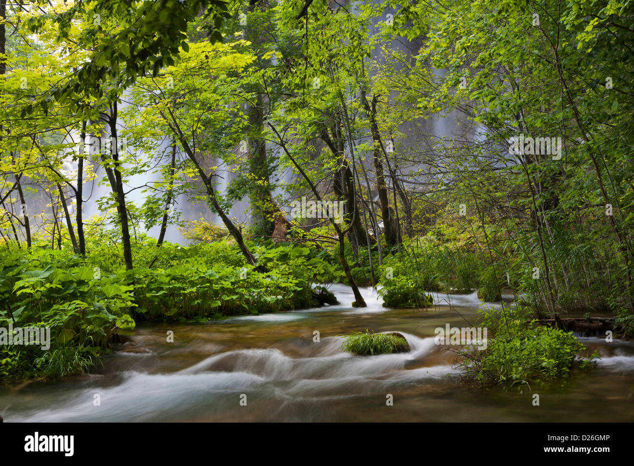 I Laghi di Plitvice nel Parco Nazionale Plitvicka Jezera. I laghi superiori, cascata Galovacki Slap e di efflusso. L'Europa, Croazia Foto Stock