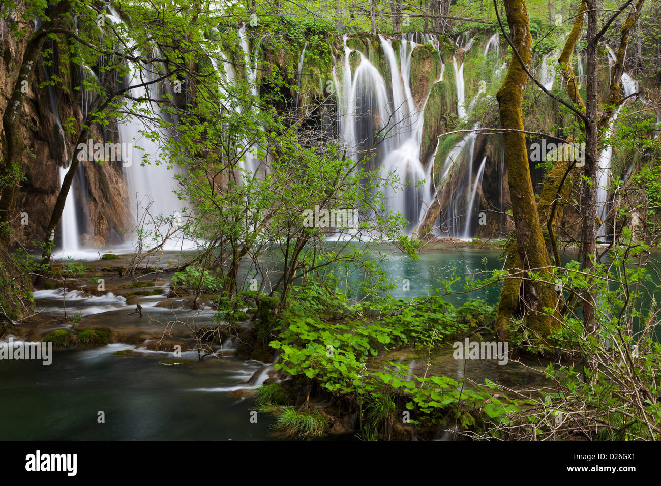 I Laghi di Plitvice nel Parco Nazionale Plitvicka Jezera. I laghi superiori, laghetti e cascate. Europa e Sud Croazia Foto Stock