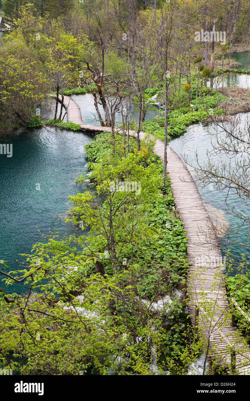 I Laghi di Plitvice nel Parco Nazionale Plitvicka Jezera in Croazia. Plank tipico percorso. Europa e Sud Croazia Foto Stock