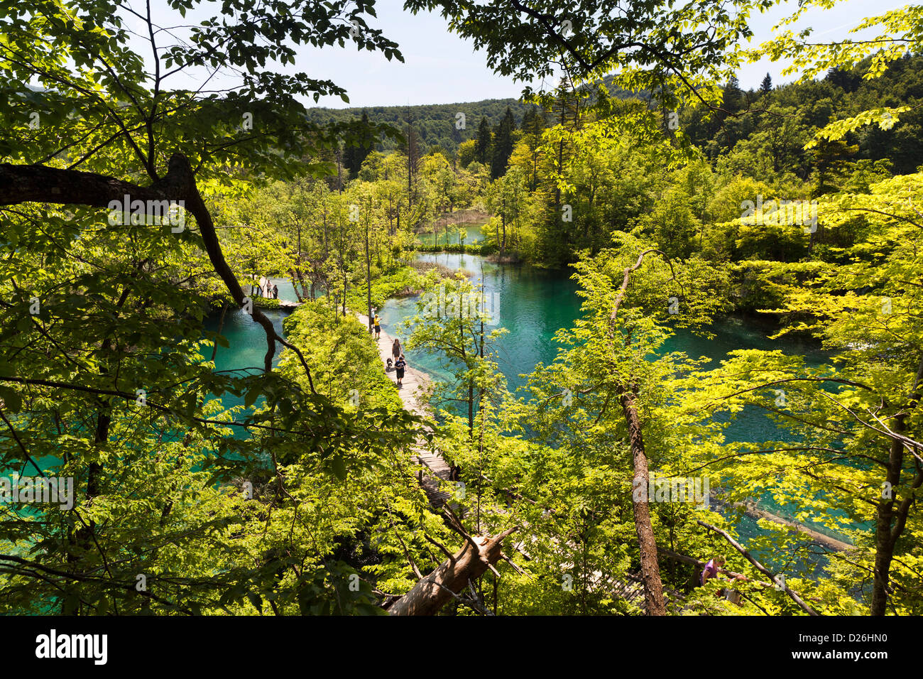 I Laghi di Plitvice nel Parco Nazionale Plitvicka Jezera in Croazia. Visitatori sul listone percorsi. Europa e Sud Croazia Foto Stock