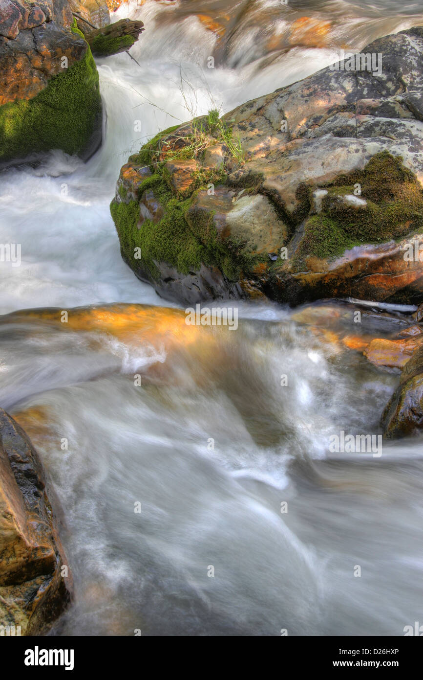Flusso roccioso in montagna Foto Stock