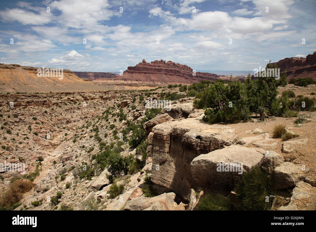 Black Dragon Canyon dello Utah Foto Stock