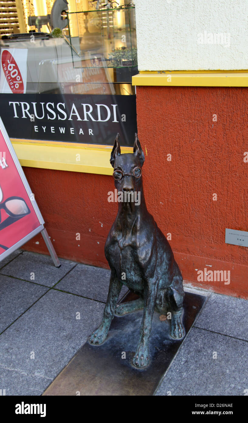 Cane indossa occhiali al di fuori di un ottici di Vilnius Foto Stock
