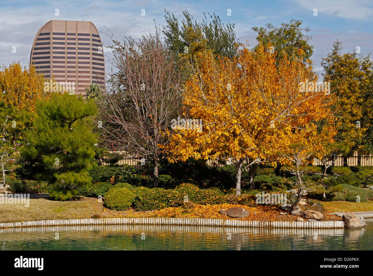 Autunno del litorale lungo Koi pond Foto Stock