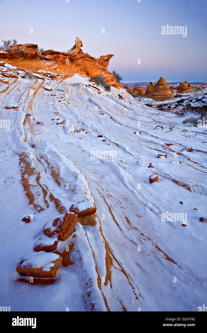 Neve sulle formazioni rocciose in Coyote Buttes Foto Stock