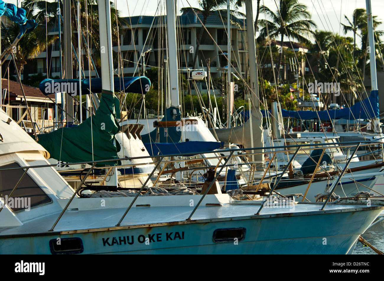 Porto di yacht e barche a vela a Maui Hawaii Foto Stock