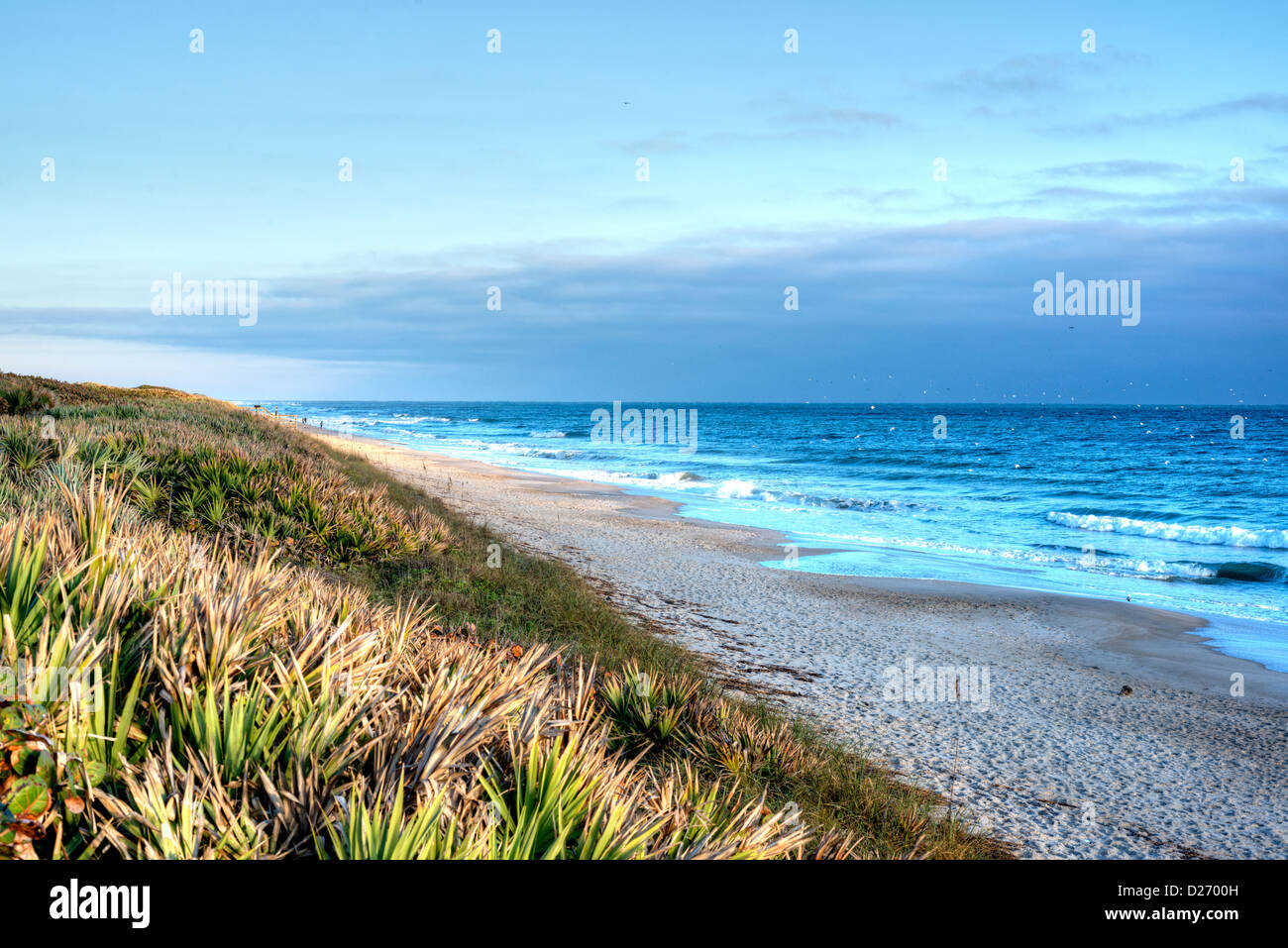 Canaveral National Seashore nelle prime ore del mattino. Foto Stock