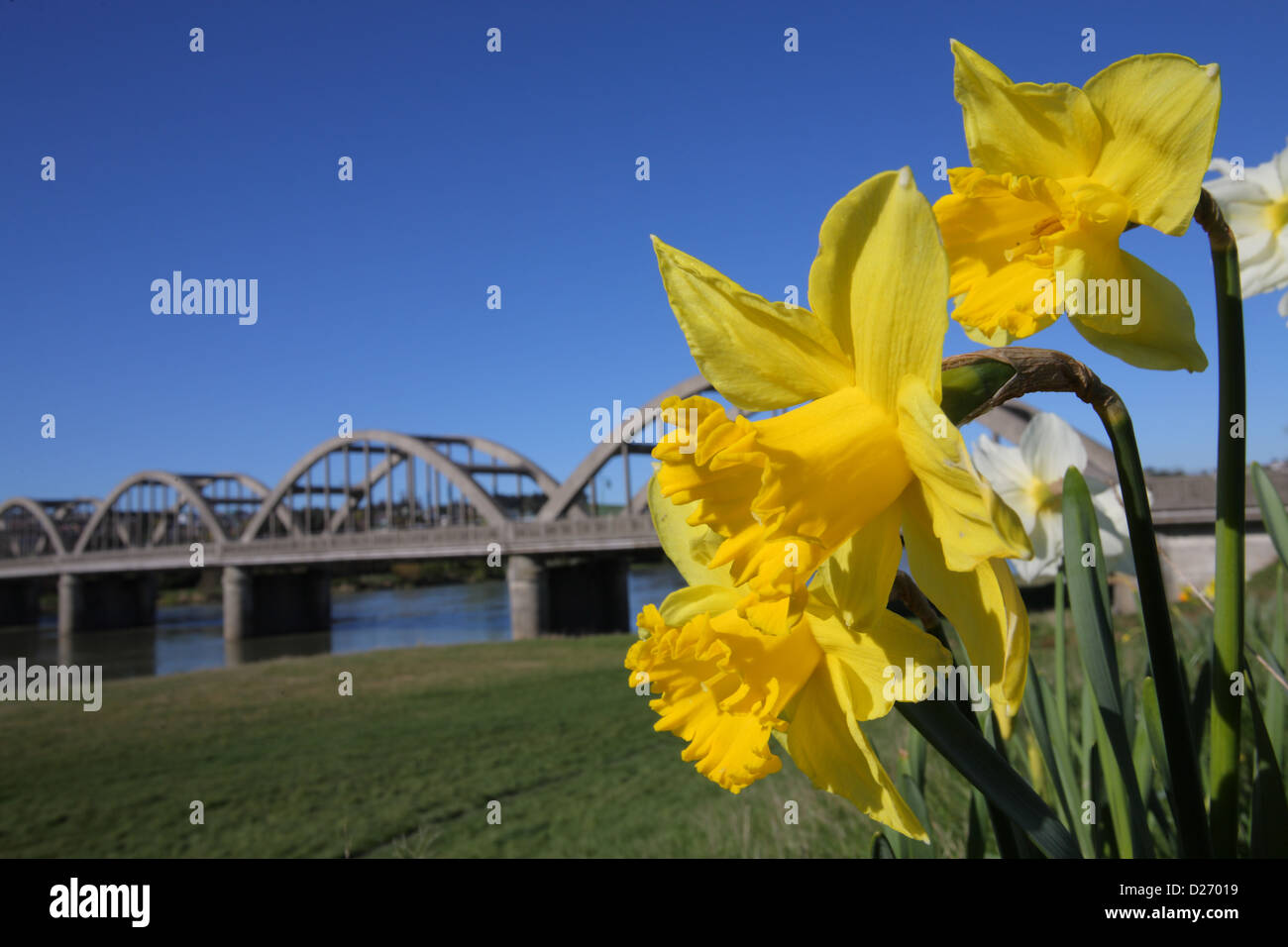 Balclutha Bridge in primavera Foto Stock
