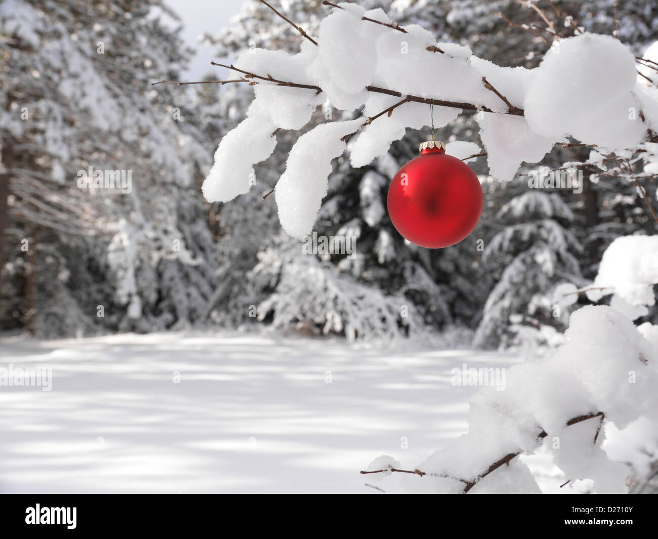 Red decorazione di Natale all'aperto su una coperta di neve ramo di albero in una foresta d'inverno. Vacanza artistica dello sfondo. Foto Stock
