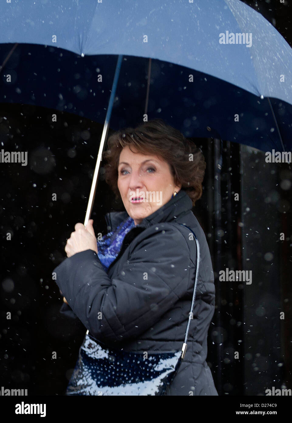 Amsterdam , 15-01-2013 Princess Margriet del Paesi Bassi famiglia reale olandese arriva al palazzo theroyal op de Dam in Amsterdam per il nuovo decennio la reception. Albert Nieboer /RPE/PAESI BASSI FUORI Foto Stock