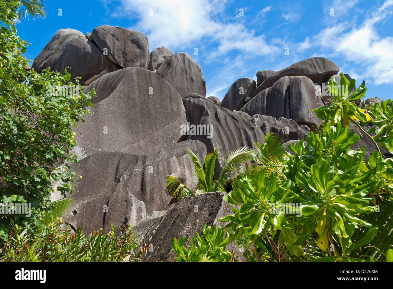 Rock foglia verde blu cielo pietre seychelles Foto Stock