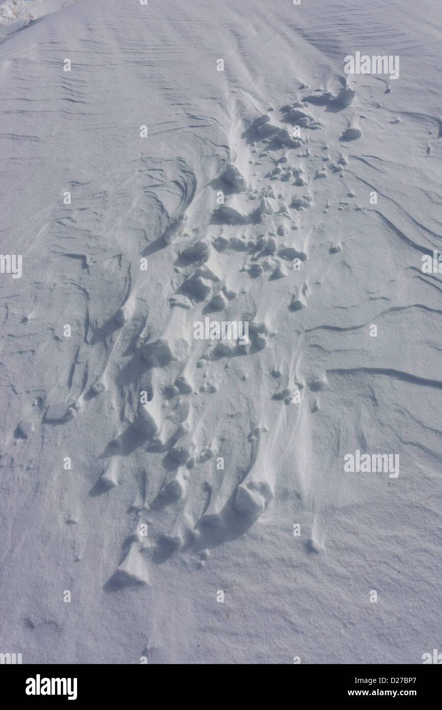 Vento neve soffiata, il cumulo di neve, scolpito Foto Stock