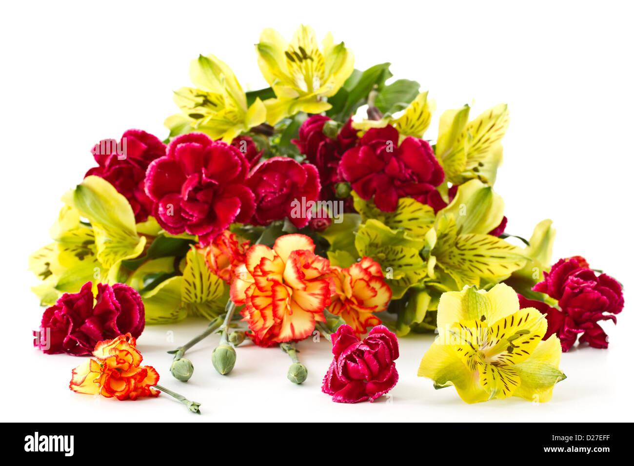 Alstroemeria e garofani rossi su sfondo bianco Foto Stock