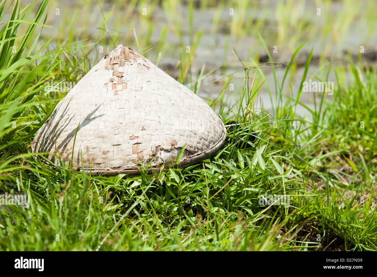 Tessuto cappello conico in risaia a Bali Foto Stock