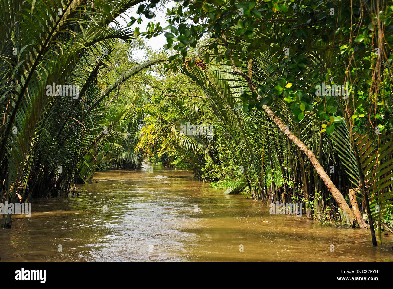 Fiume Mekong nella regione del Delta, Vietnam Foto Stock