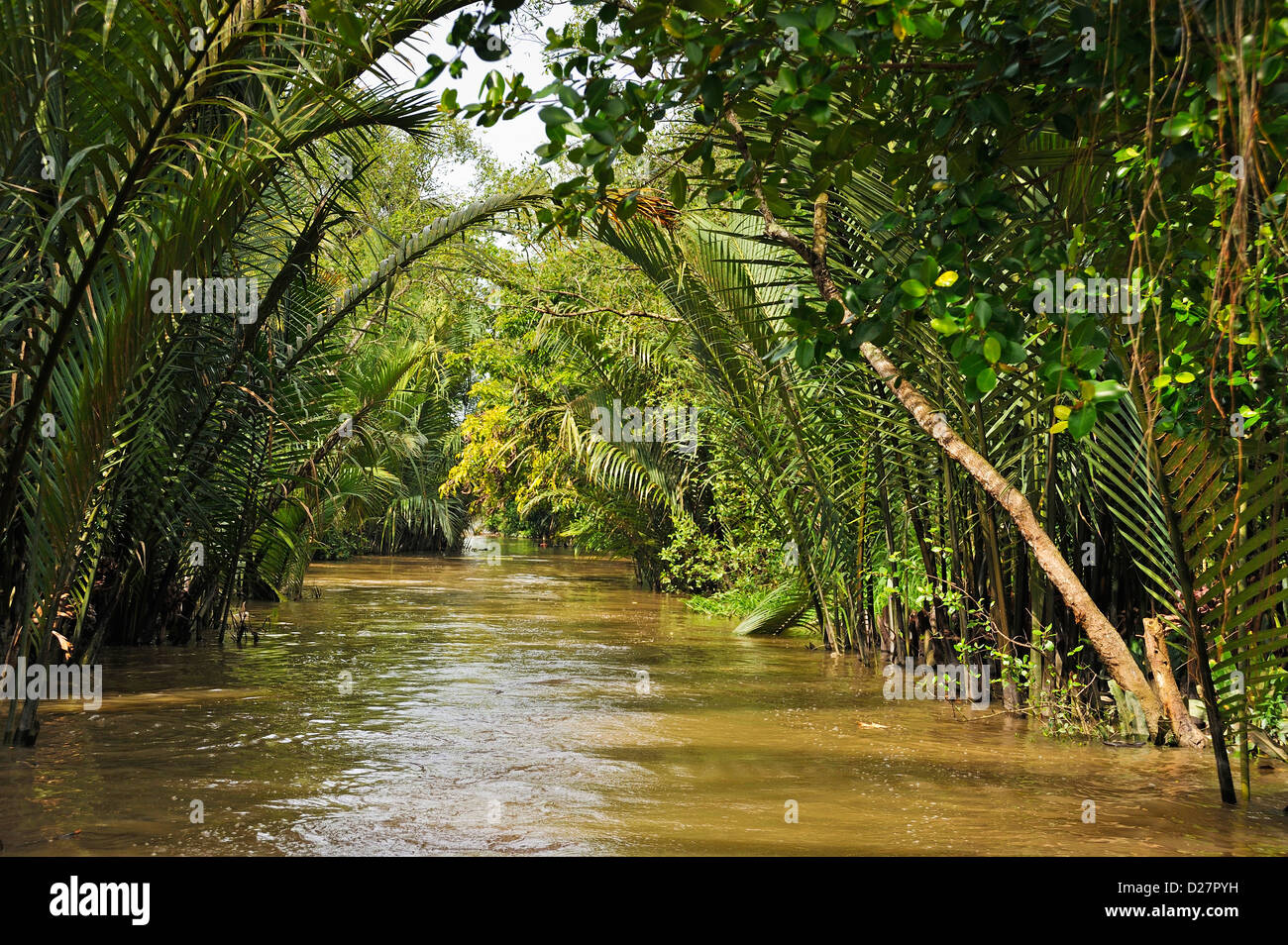 Il fiume Mekong, Vietnam Foto Stock