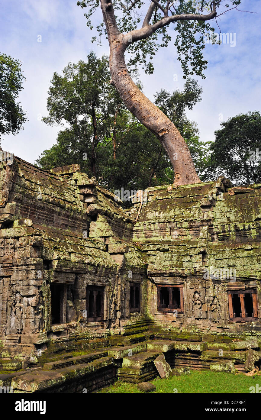 Preah Khan, il tempio di Angkor Wat, Cambogia Foto Stock