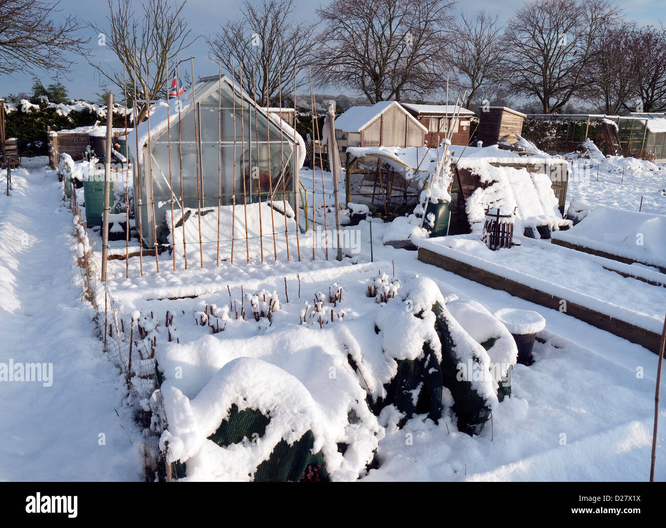 Coperta di neve sui giardinetti in inverno, Norfolk, Inghilterra Foto Stock