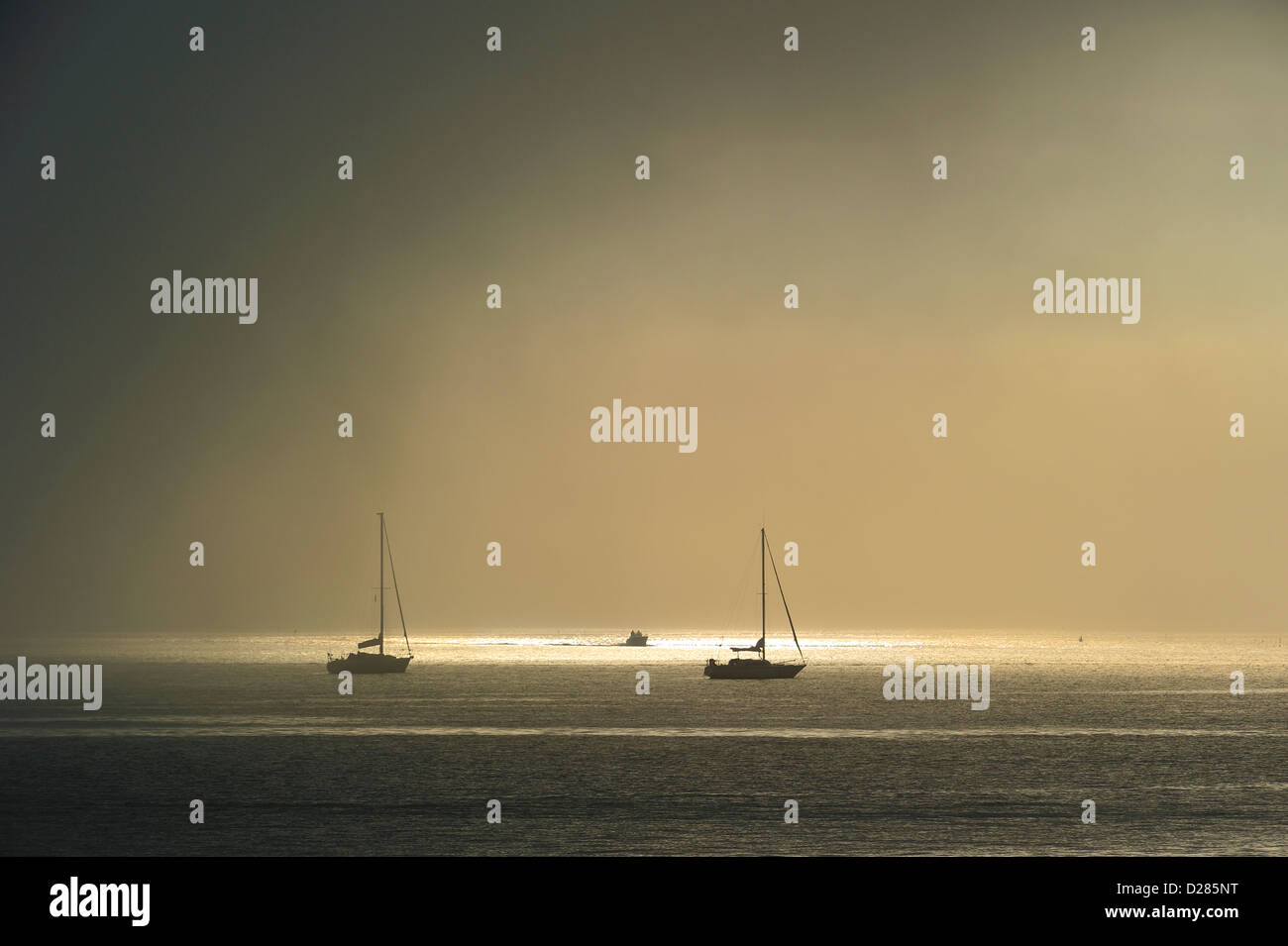 Nebbia in rotolamento su barche a vela in mare nei pressi dell'isola Ile d'oléron Charente Maritime, Francia Foto Stock