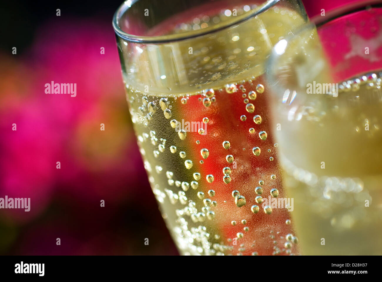 Bolle di champagne appena versato bicchieri di champagne al sole con bougainvillea fiori dietro Foto Stock