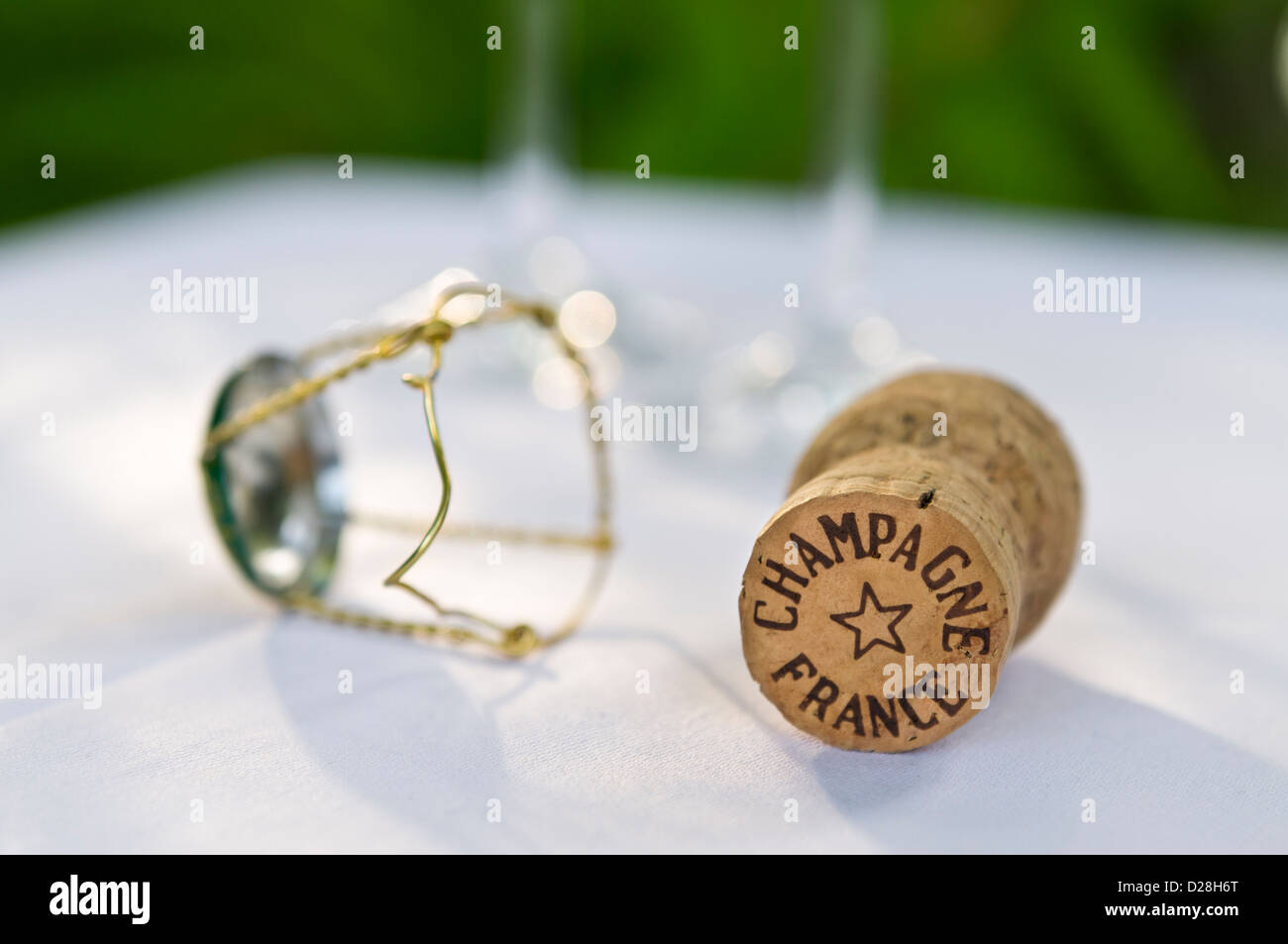 Tappo dello champagne su outdoor tovaglia bianca in giardino con gli occhiali a filo del telaio di fissaggio e il tappo Foto Stock