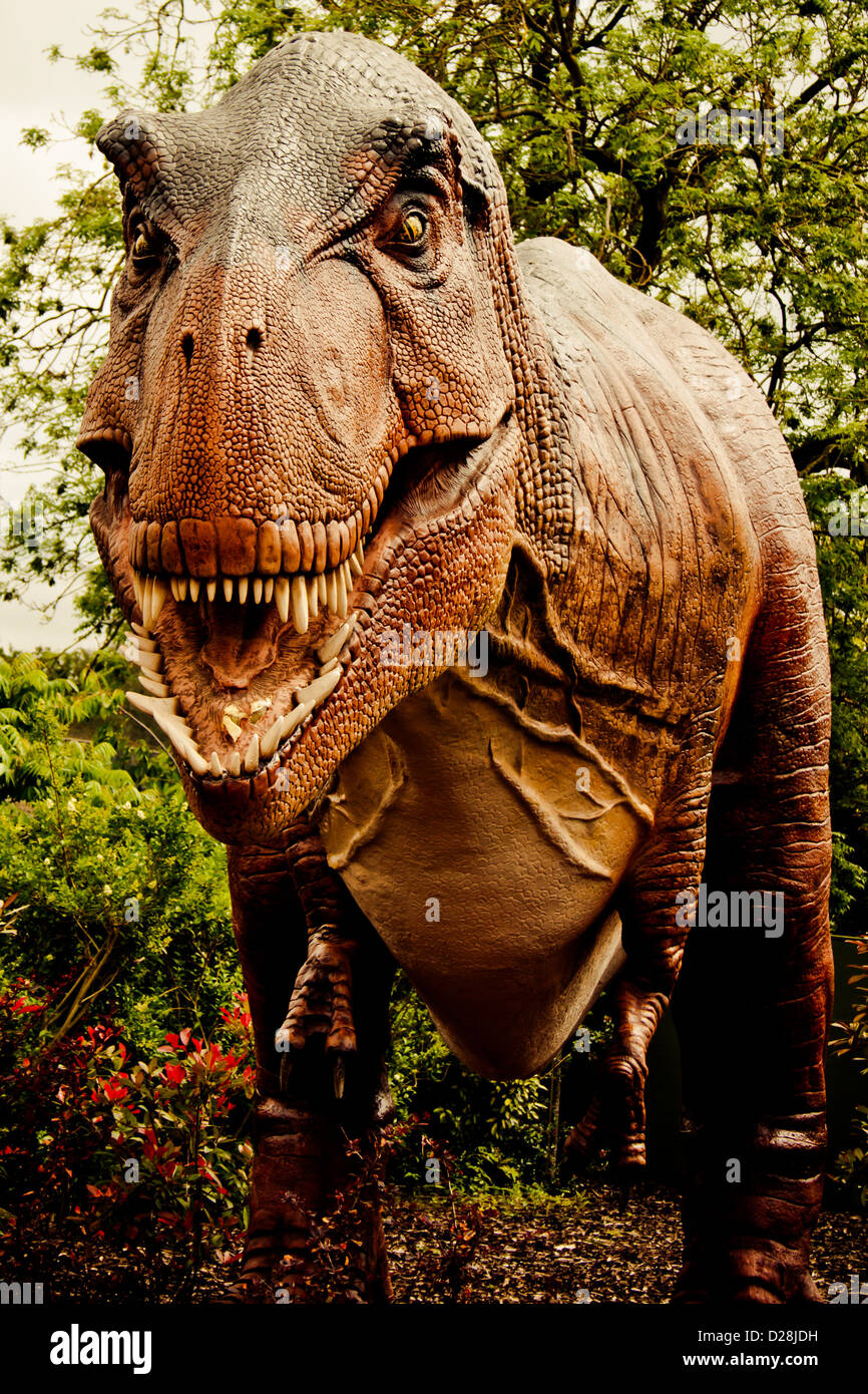 Un modello di un Tirannosauro Rex. Una parte dei dinosauri mordere mostra presso lo Zoo di Chester durante l'estate del 2012. Foto Stock