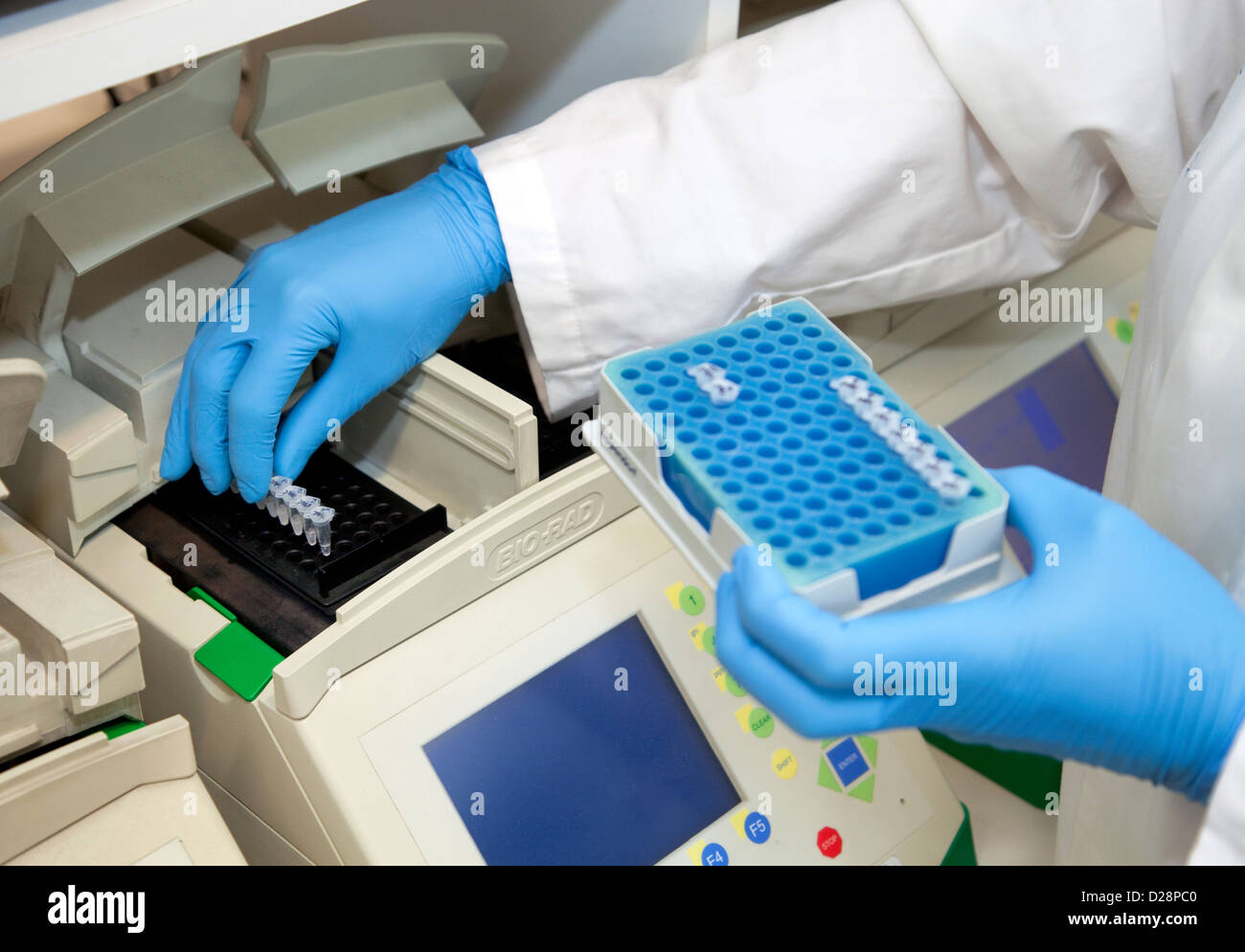 Muenster, Germania, un MTA fornisce la reazione PCR in un cycler termico Foto Stock