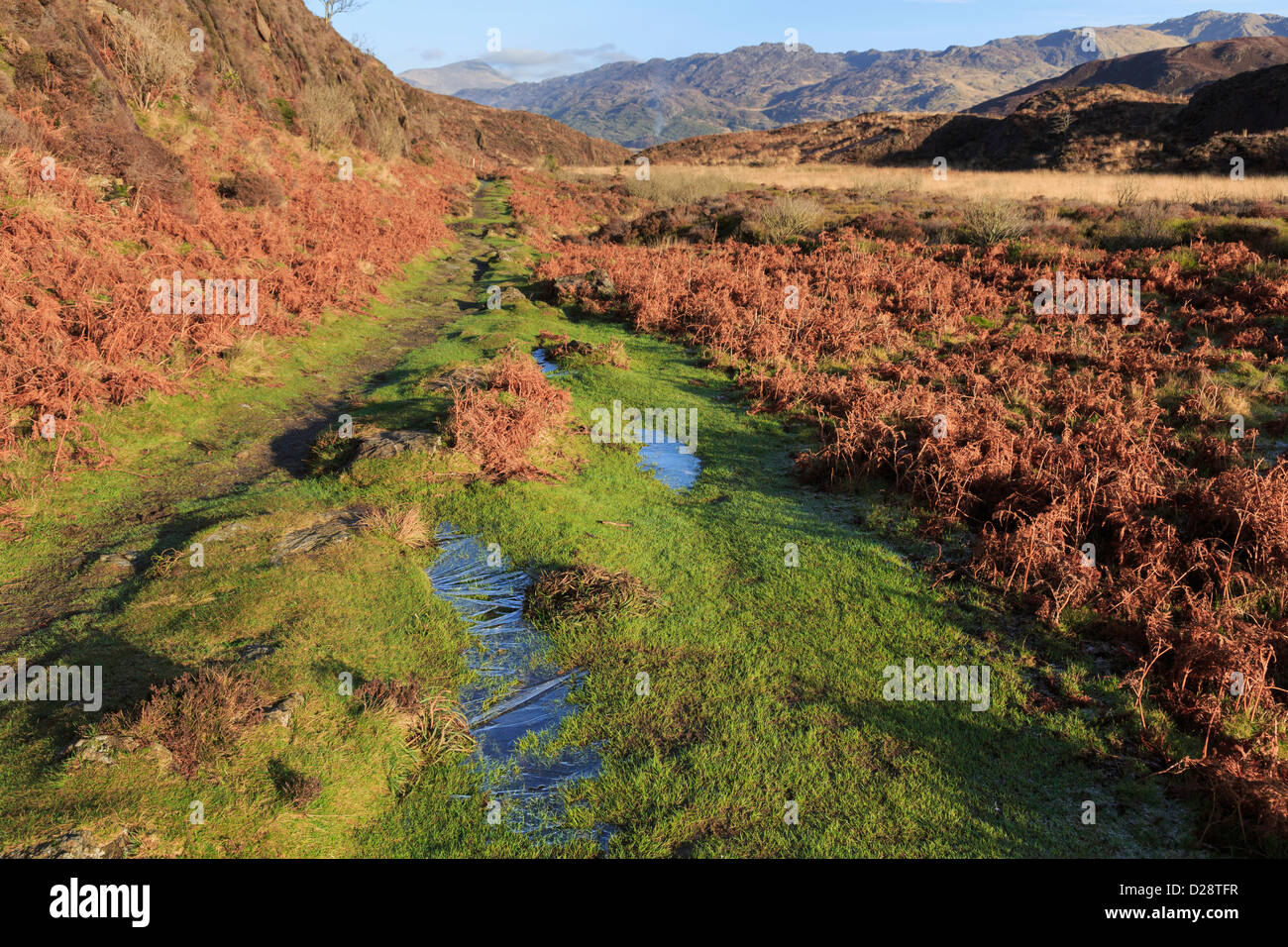 Wet percorso di montagna con pozzanghere congelate su Ddu Grib al di sopra di Nant Gwynant nelle montagne del Parco Nazionale di Snowdonia in inverno. Il Galles del Nord, Regno Unito Foto Stock