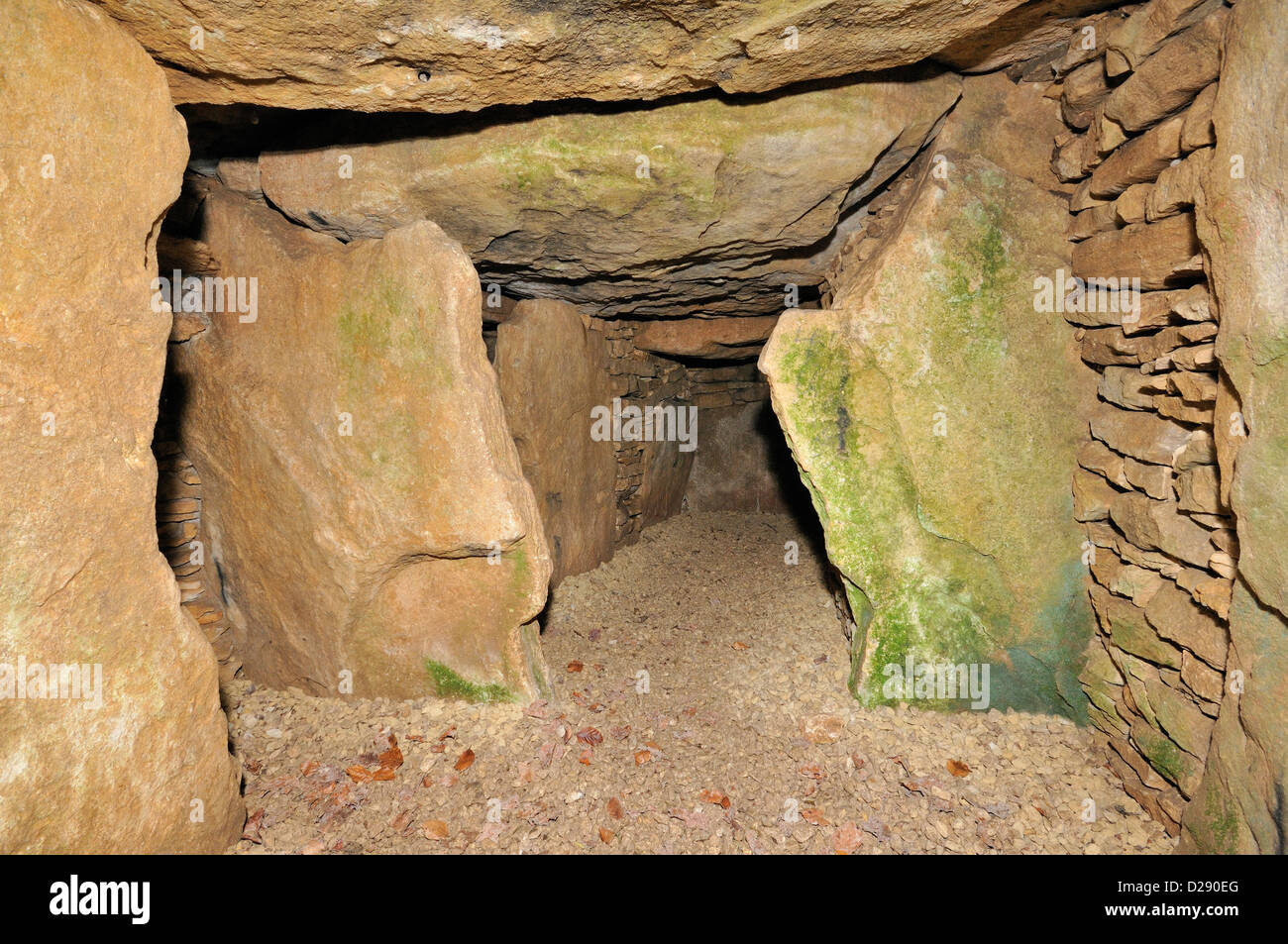 Hetty Pegler's Tump, Uley Long Barrow 3000BC vista all'interno della camera principale Foto Stock