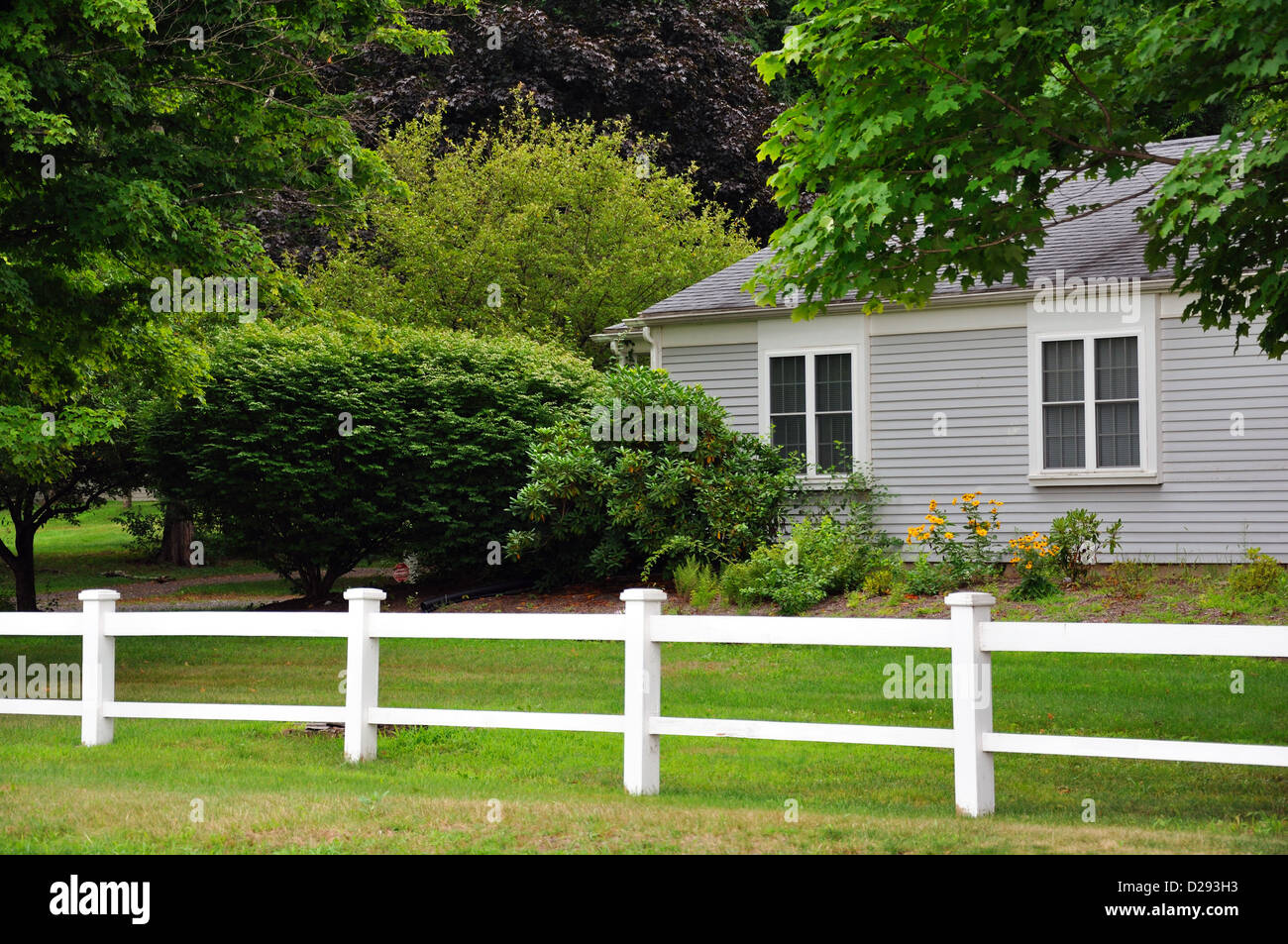 Stile Cape Cod house di Cape Cod, Massachusetts, New England, STATI UNITI D'AMERICA Foto Stock