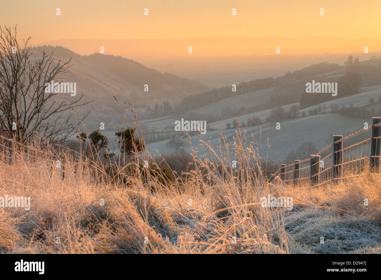 Vista della valle con pre-alba frost, il sole che sorge sulle colline lontano. Severn superiore (Hafren) valle. Vicino a Llanidloes, Powys. Galles Foto Stock