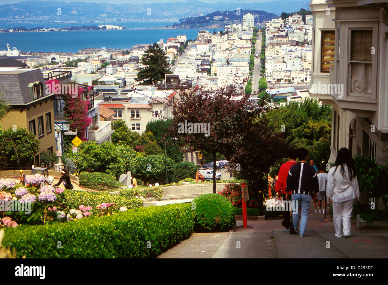 California, San Francisco, Lombard Street. Foto Stock