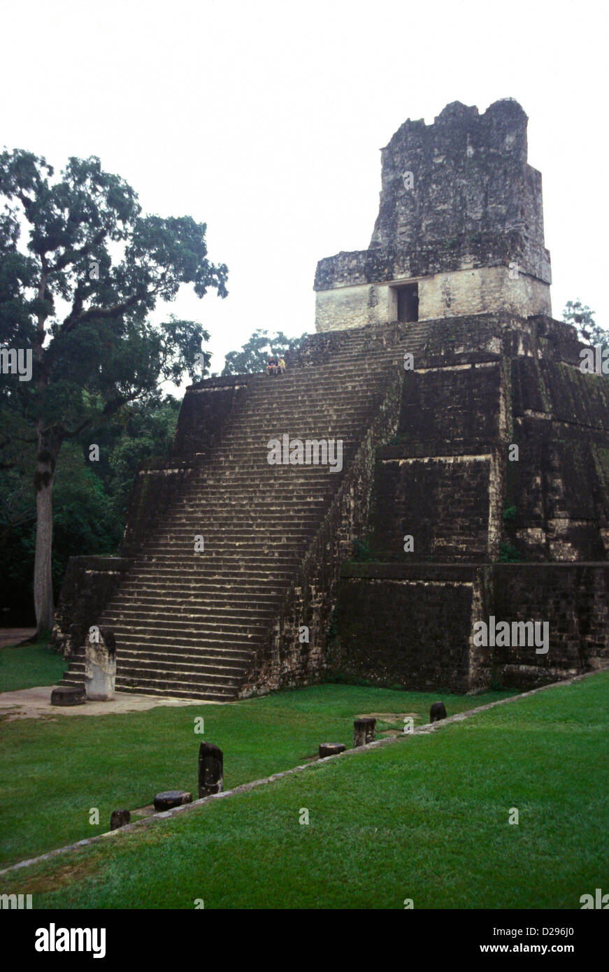 Guatemala, Tikal. Piramidi maya Foto Stock