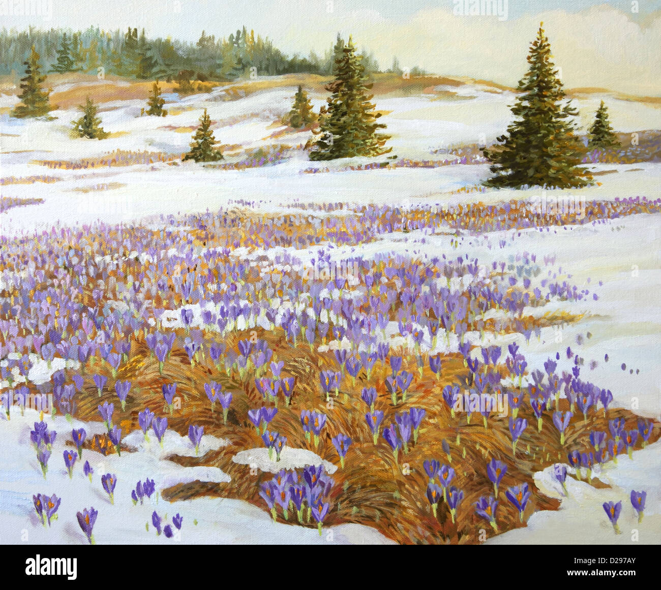 Un dipinto ad olio su tela di un prato con macchie di neve e la fioritura viola crocus fiori. Foto Stock