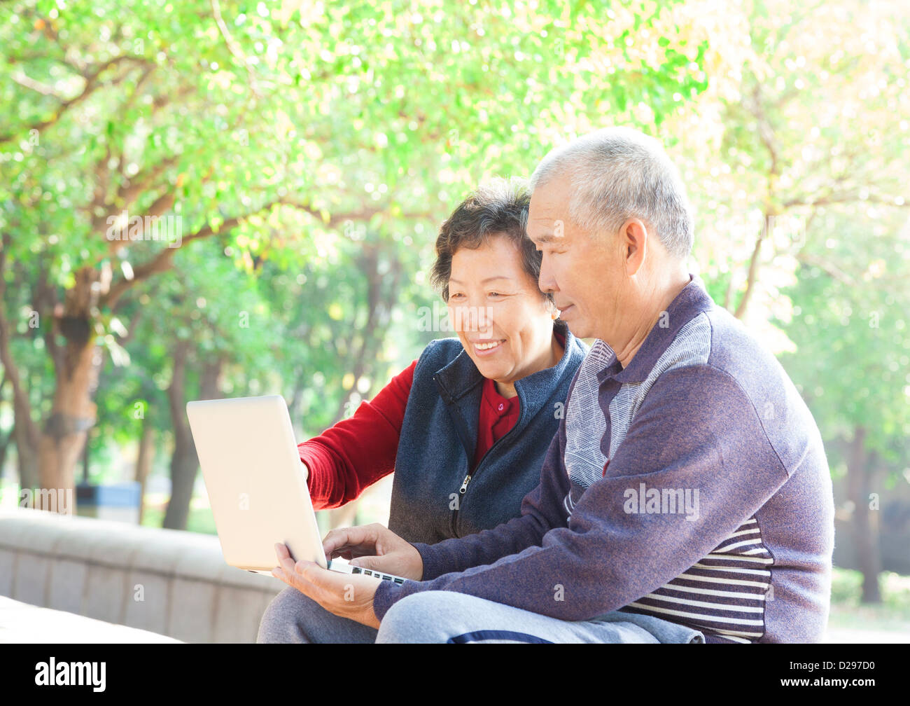 Felice coppia Senior navigare su internet con il computer portatile Foto Stock