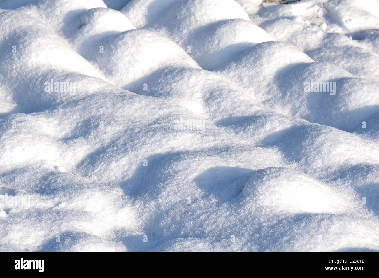 Orto nella neve in gennaio. "Potager de Suzanne', Mayenne, Pays de la Loire, Francia. Foto Stock