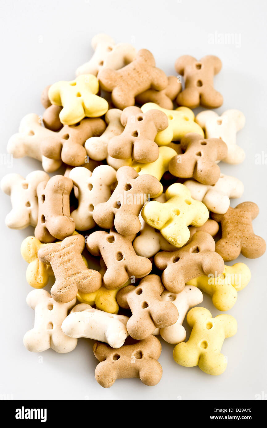 Biscotti per cani Foto Stock