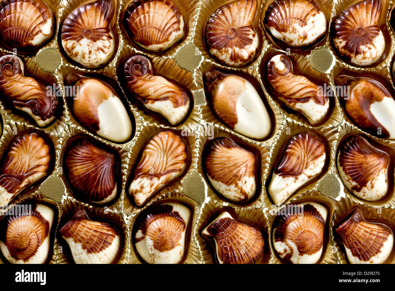 Il cioccolato belga di conchiglie Foto stock - Alamy
