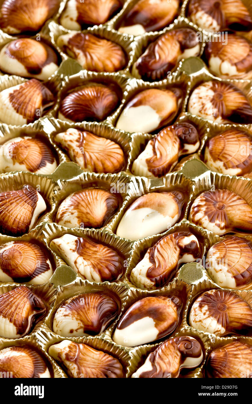 Il cioccolato belga di conchiglie Foto Stock