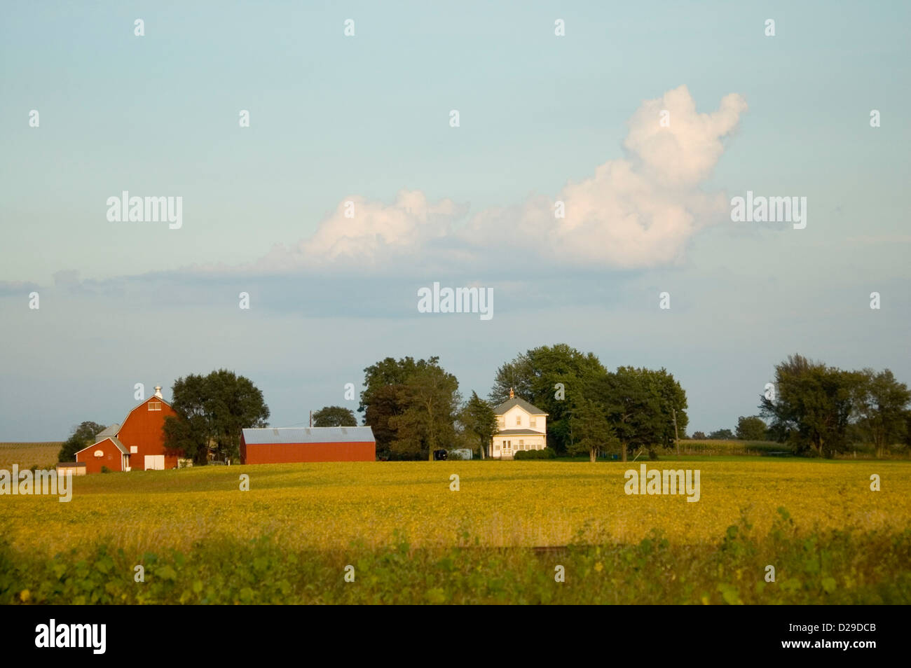 Wisconsin rurale Foto Stock