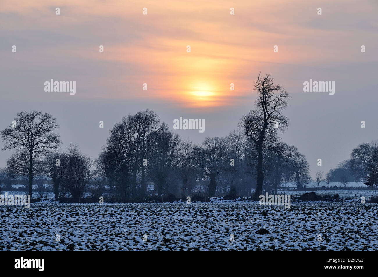 Paesaggio Innevato in inverno, prati separati da siepi (Nord Mayenne, Pays de la Loire, in Francia, in Europa). Foto Stock